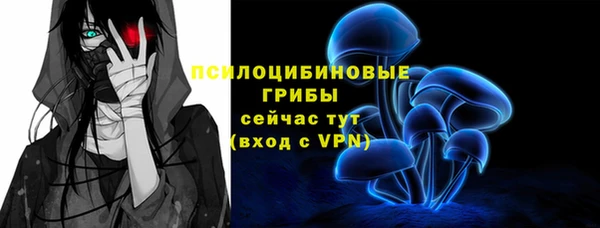 mdpv Балахна